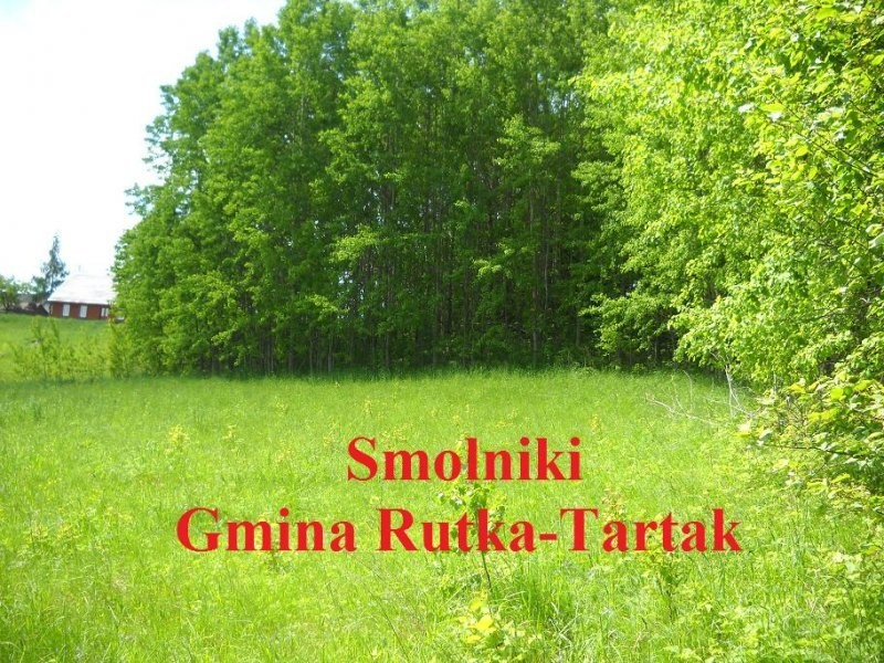 (40) Piękna działka pod zabudowę — zdjęcie 2