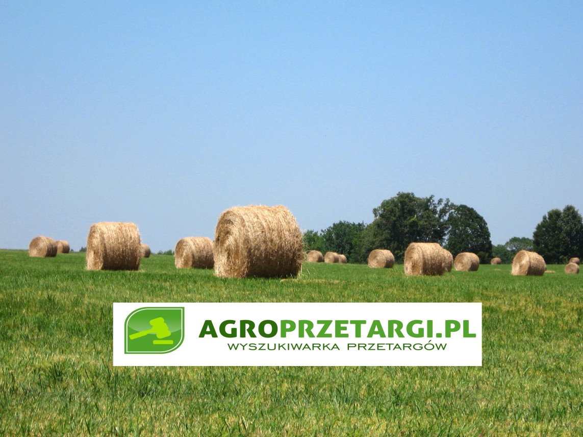 Dzierżawa gruntów rolnych