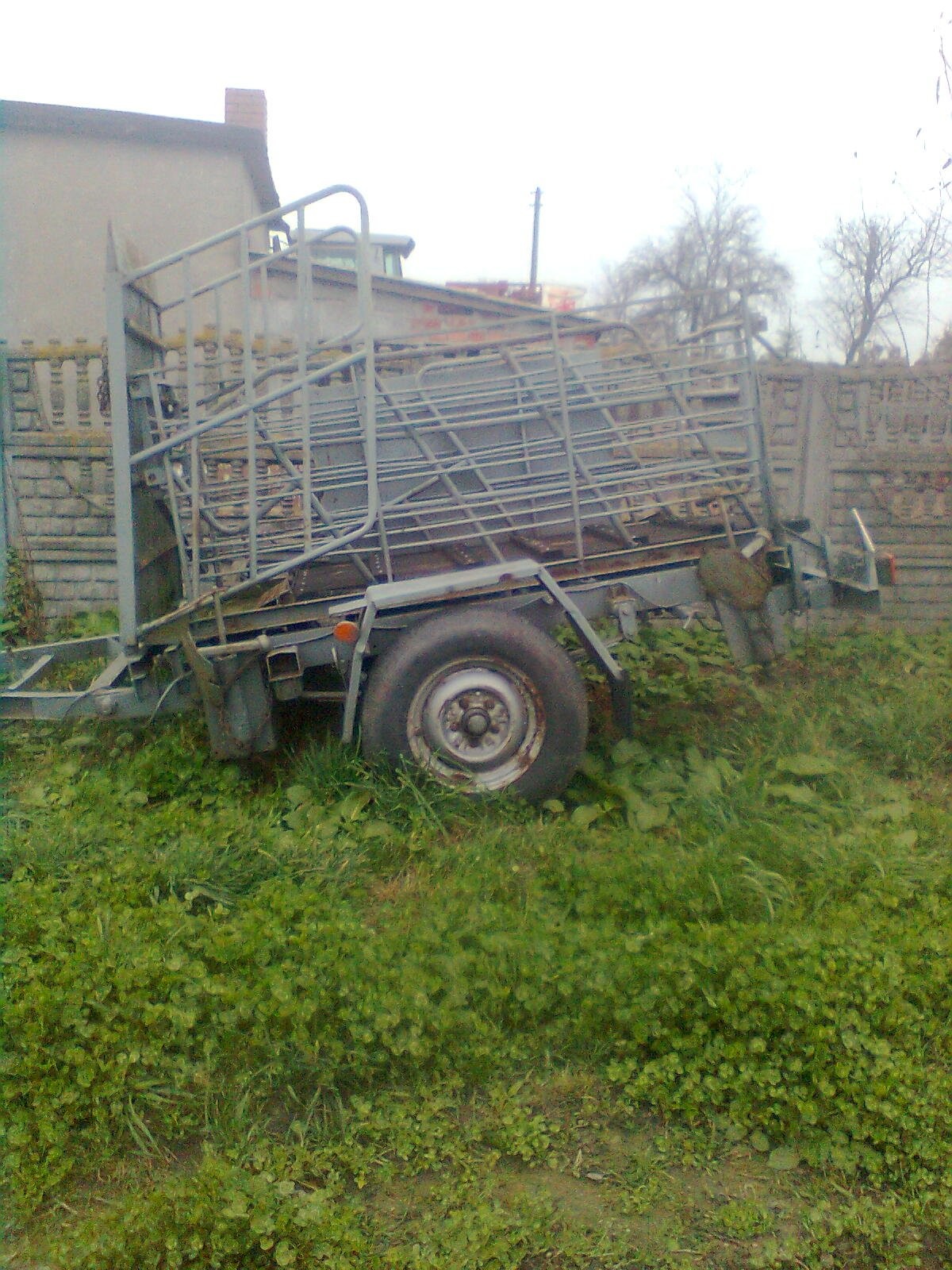 Waga do bydła, żywca, przyczepka. — zdjęcie 1