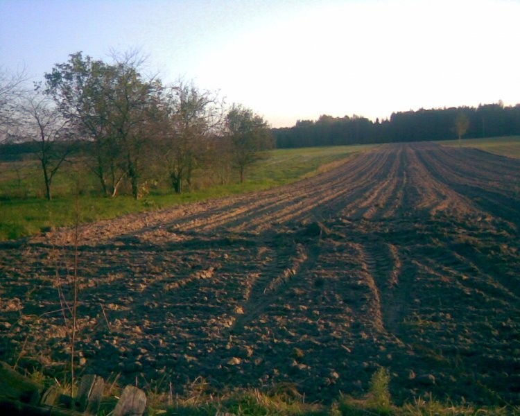 gospodarstwo rolne i budynki — zdjęcie 3