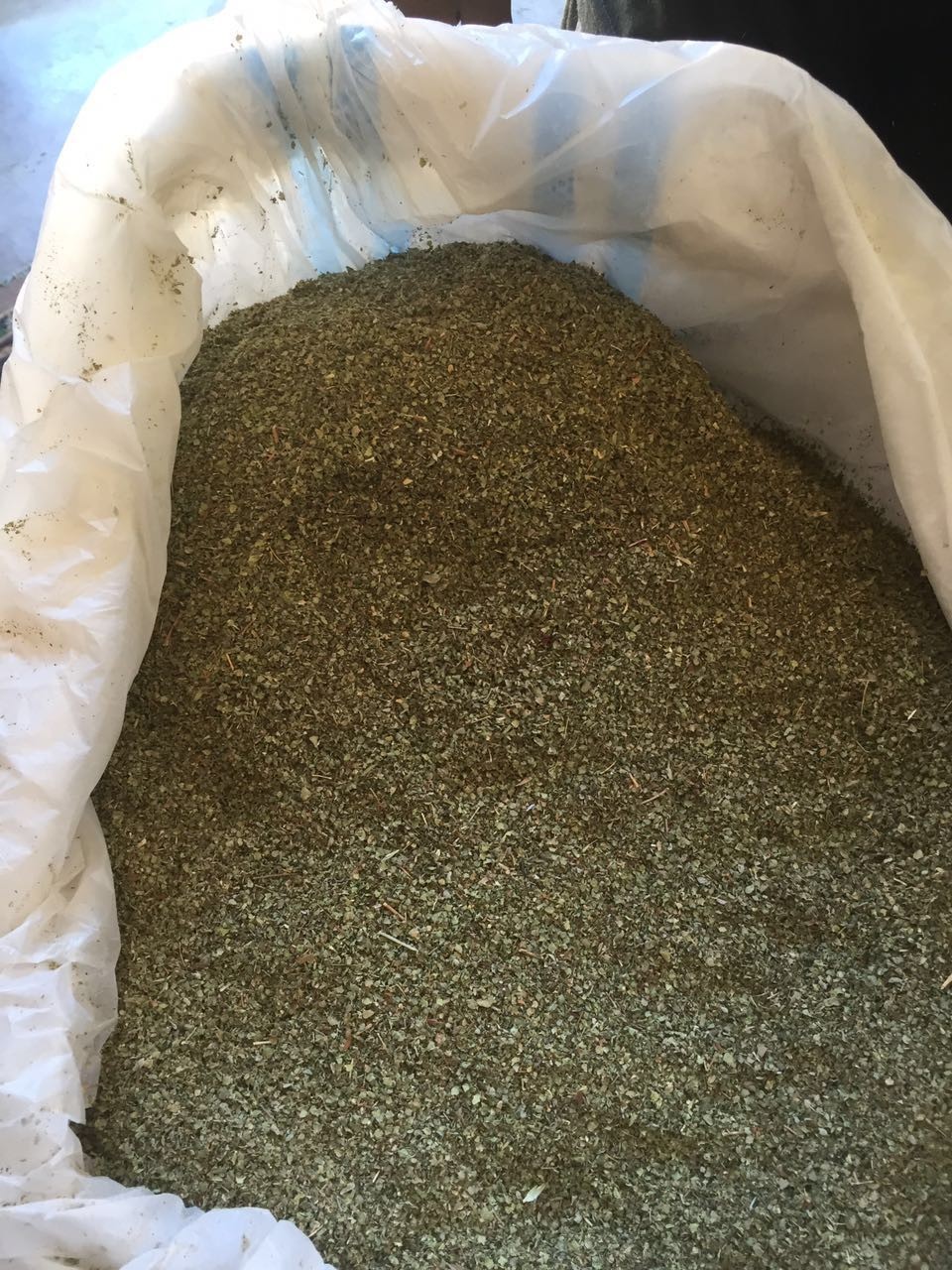 Majeranek 4,00 zł/kg  — zdjęcie 1