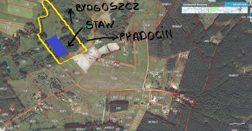 kuj-pom siedlisko staw+lasek 56000 m2
