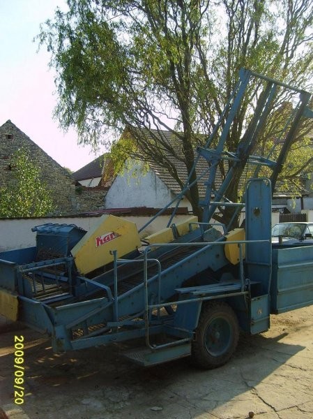 SPRZEDAM Karlik  Z 642 — zdjęcie 2