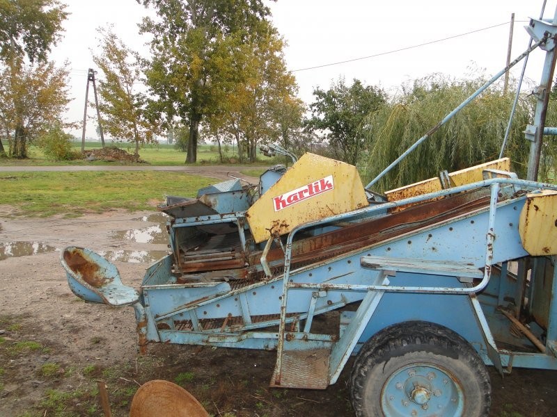 SPRZEDAM KARLIK
