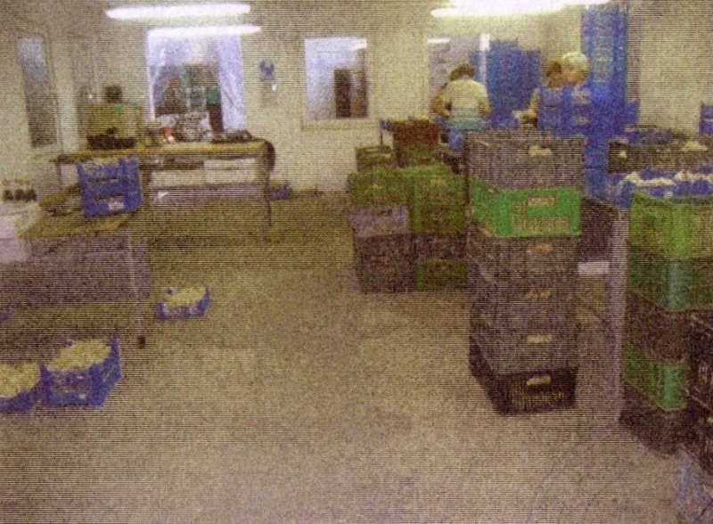 Zakład Produkcji grzybów — zdjęcie 2