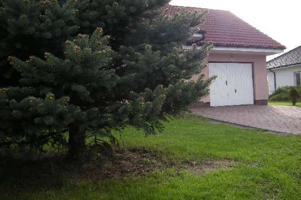 Dom na sprzedaż, Ulim — zdjęcie 2