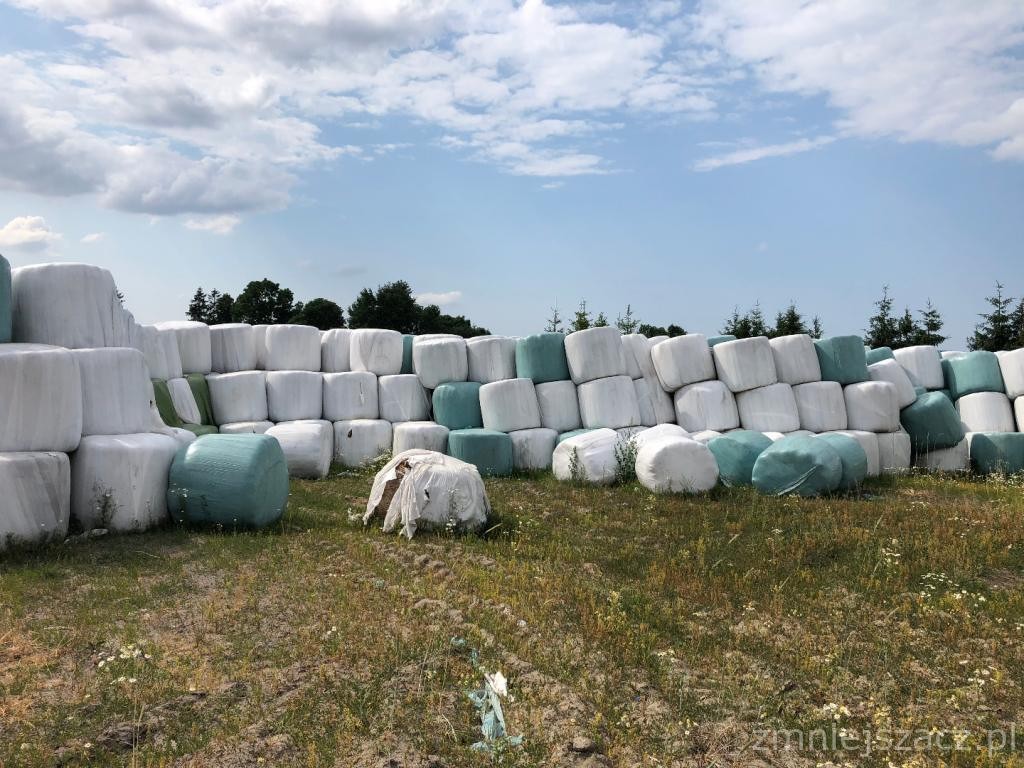 Sianokiszonka w belach - okolice Suwałk — zdjęcie 4