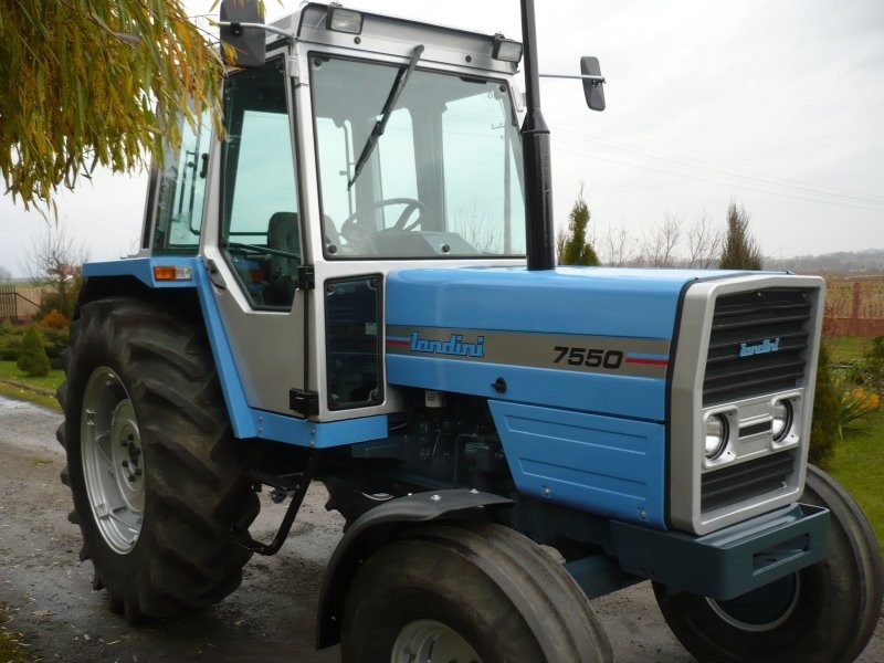 LANDINI — zdjęcie 1