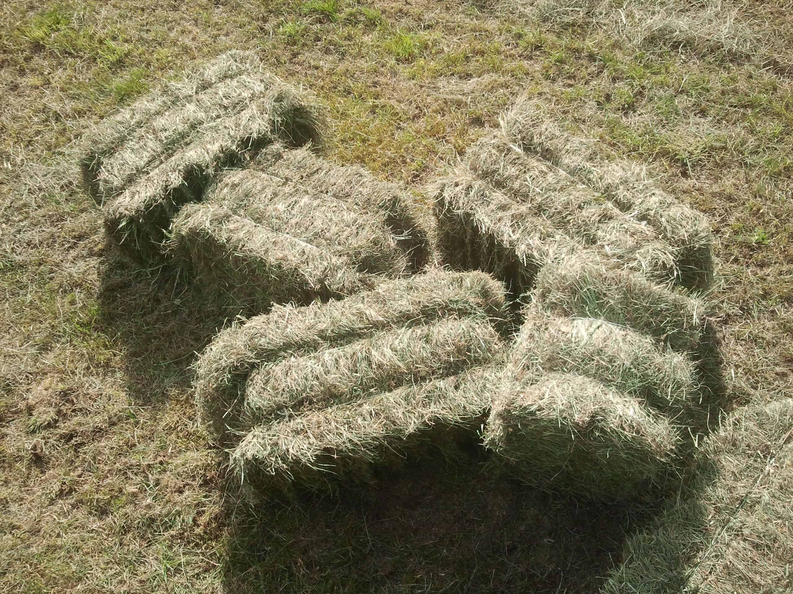 SIANO W KOSTKACH SPRZEDAM — zdjęcie 1