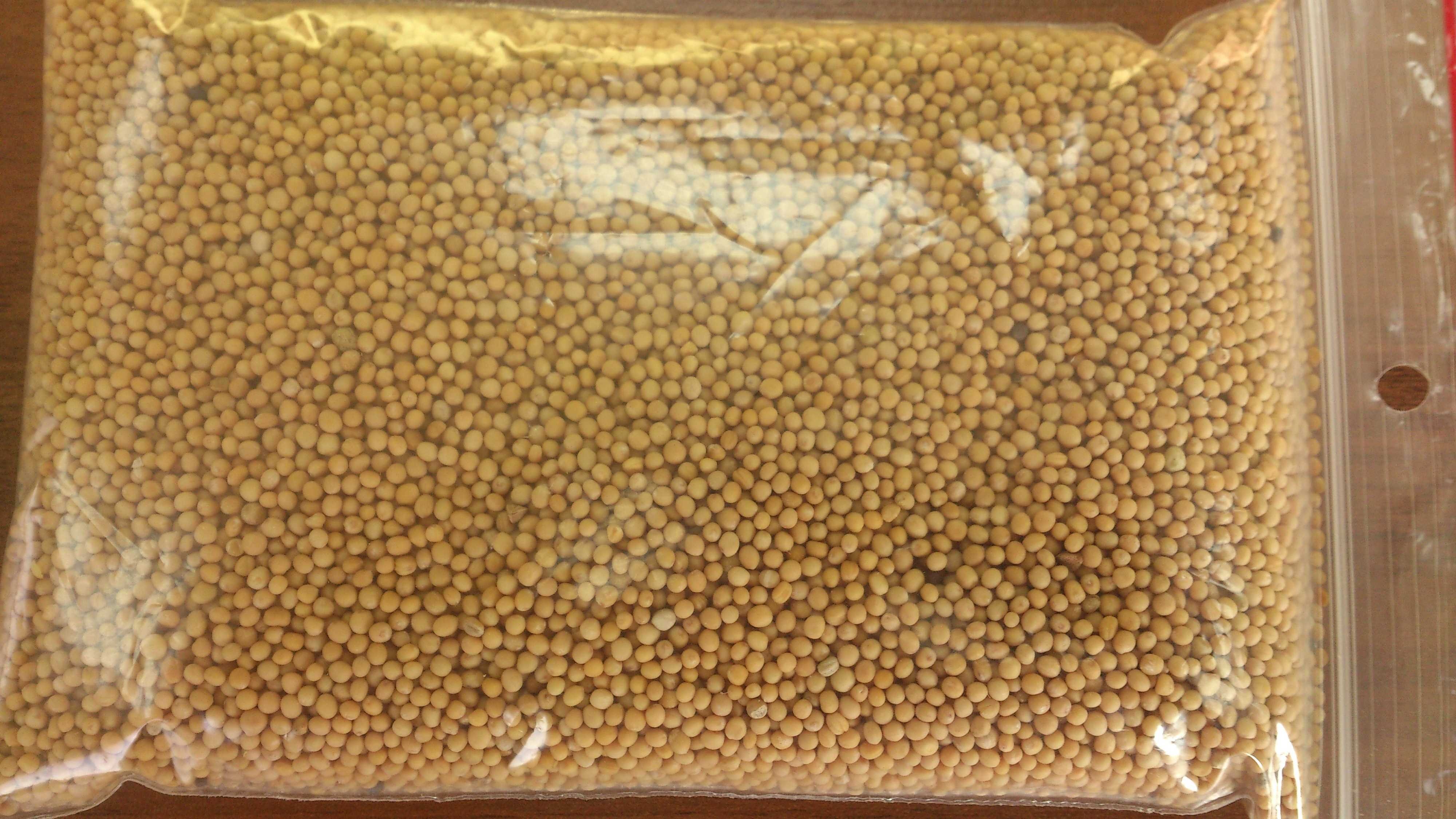 Gorczyca biała - import Kanada !!!