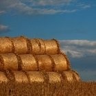 KUPIĘ SŁOMĘ I SIANO WIELKOPOLSKA