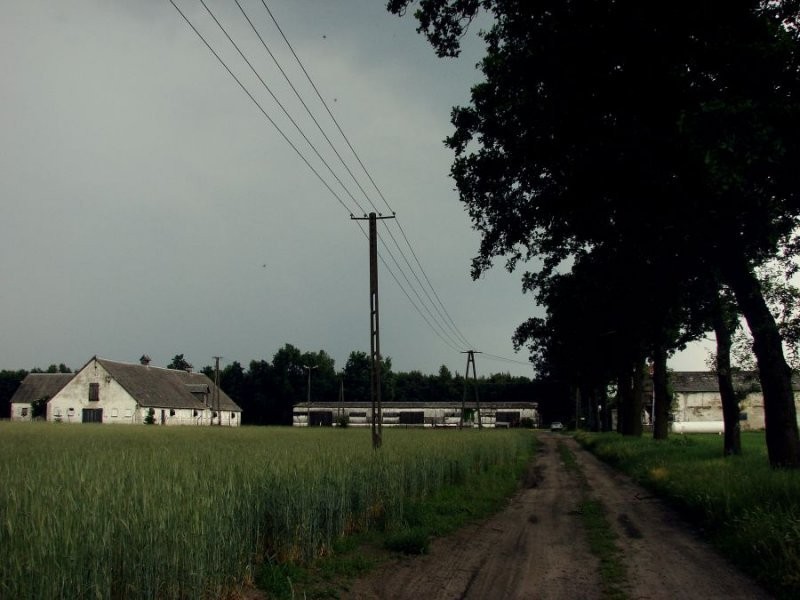 ferma drobiu  tanio — zdjęcie 4