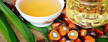 Refined Palm Oil From Malaysia for Sale — zdjęcie 1