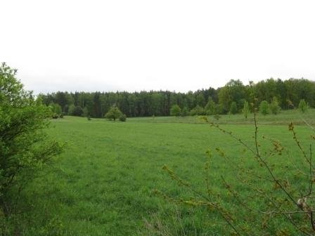 Działka 7,4ha okolice Zielonej Góry — zdjęcie 3
