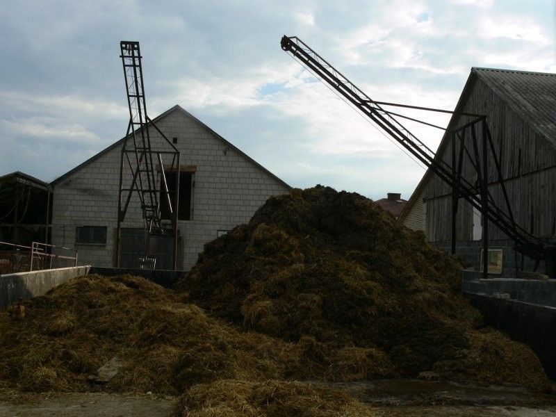 USUWACZ ZGARNIACZ OBORNIKA - PRODUCENT
