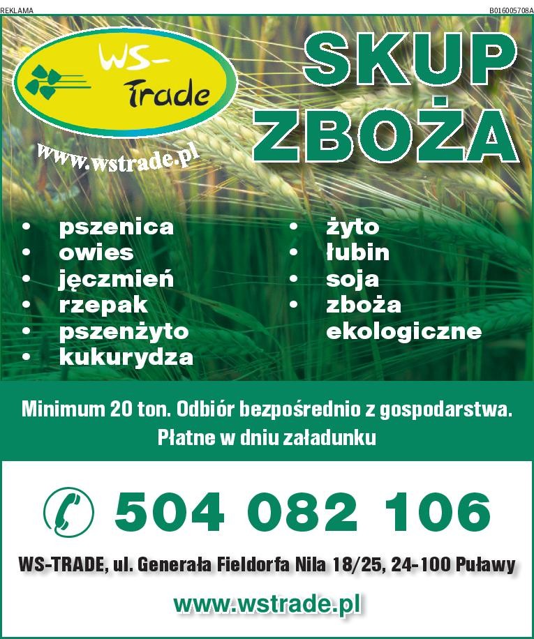 kupię pszenżyto- skup pszenżyta