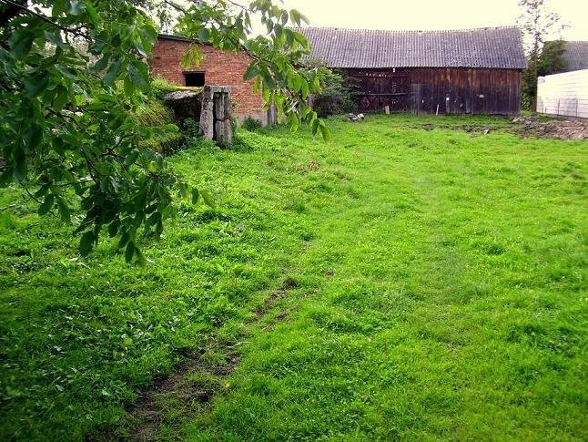 DZIAŁKA SIEDLISKO — zdjęcie 2