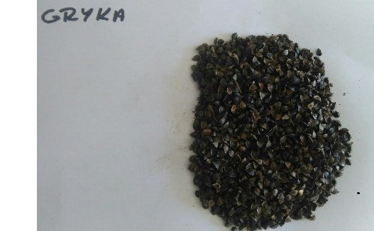 Sprzedam Wyka, Gorczyca, Łubin, Rzodkiew oleista, Facelia, Gryka — zdjęcie 7