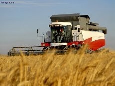 Ukraina.Grunty rolne na cele energetyczne /paszowe — zdjęcie 1