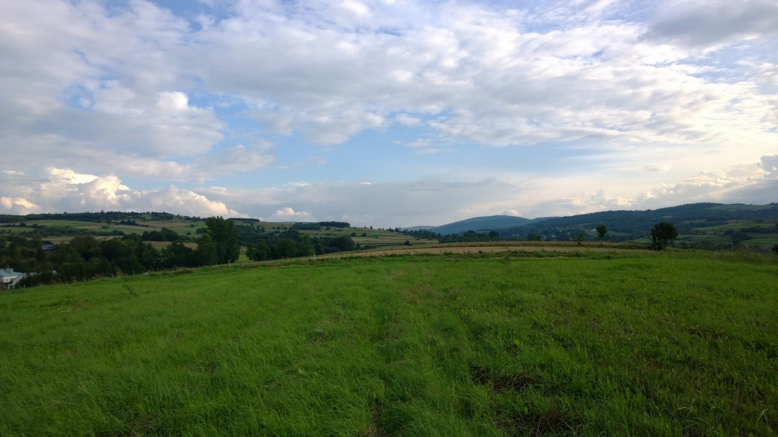 4 ha działek rolnych, reakreacyjnych ok Krosno Jasło Dukla- Bieszczady — zdjęcie 1