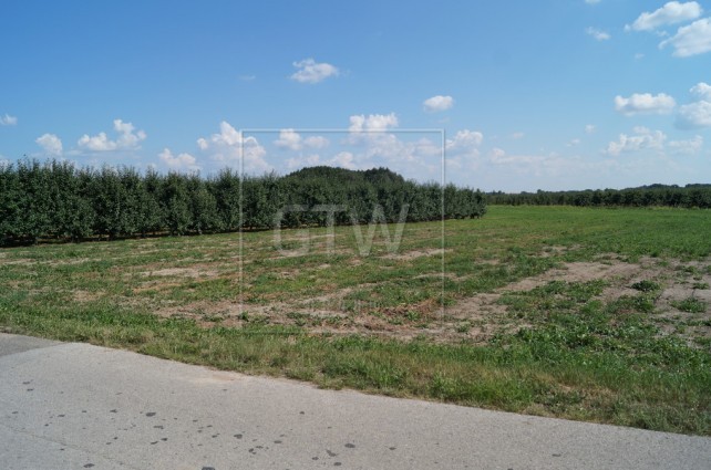 Sprzedam działkę rolno-budowlaną pod Firmę o pow 4 h szer-300m dł-250  — zdjęcie 2