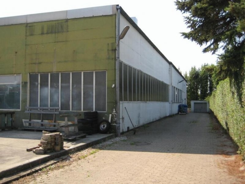 Hala Stalowa Produkcyjna, magazynowa 800 i 1250m? — zdjęcie 4