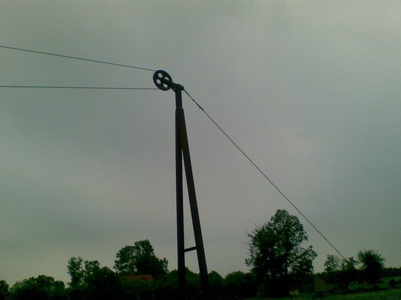 ZGARNIACZ OBORNIKA LINOWY — zdjęcie 3