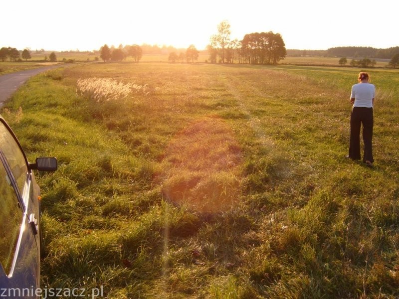 działaka rolna — zdjęcie 2