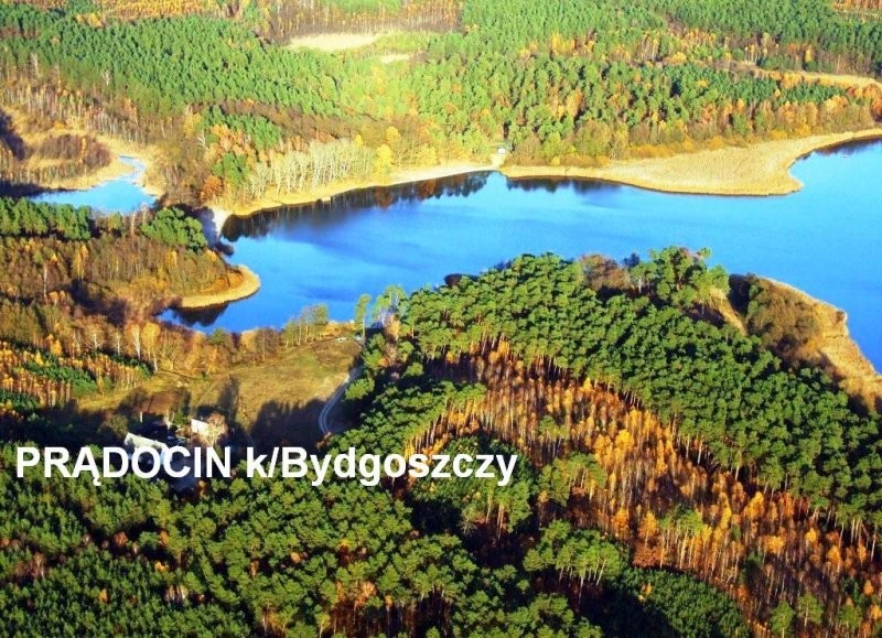 Sprzedam 4.5 ha pod inwestycję koło Bydgoszczy — zdjęcie 3