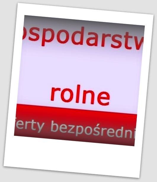 Gospodarstwo rolne kupimy wg specyfikacji