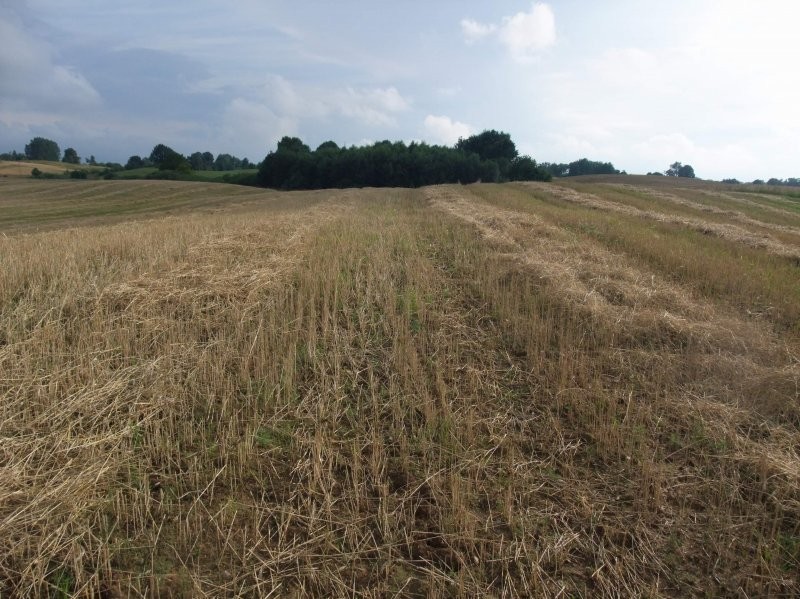 Grunty rolne na Pojezierzu Drawskim