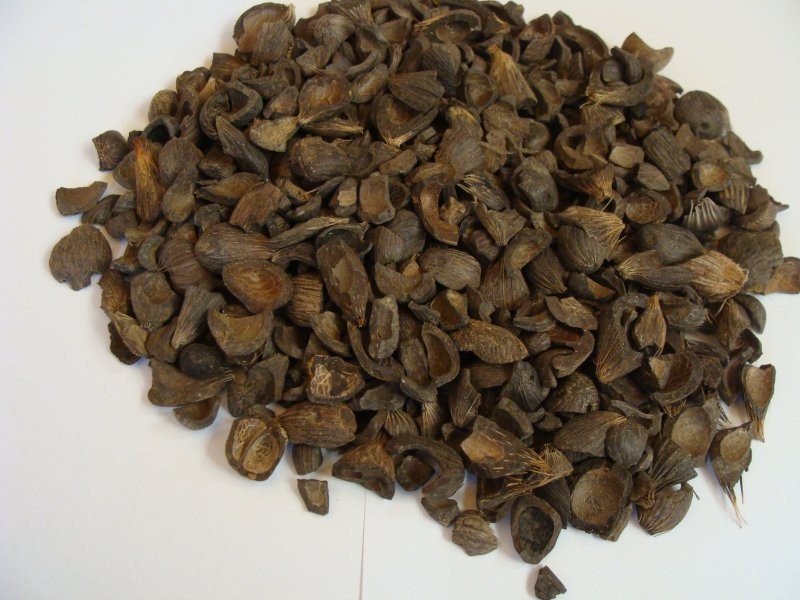 palm kernel shell  biomase sprzedam — zdjęcie 1