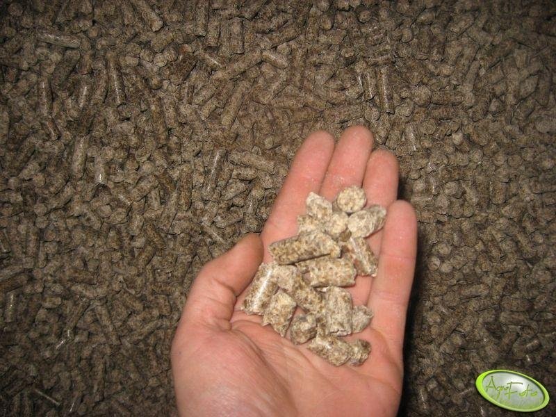 Wysłodki, Sale pulp, not molasses, BEET PULP, AUSG