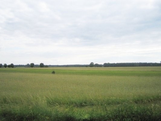 Gospodarstwo wielkoobszarowe 322 ha w dolnośląskim