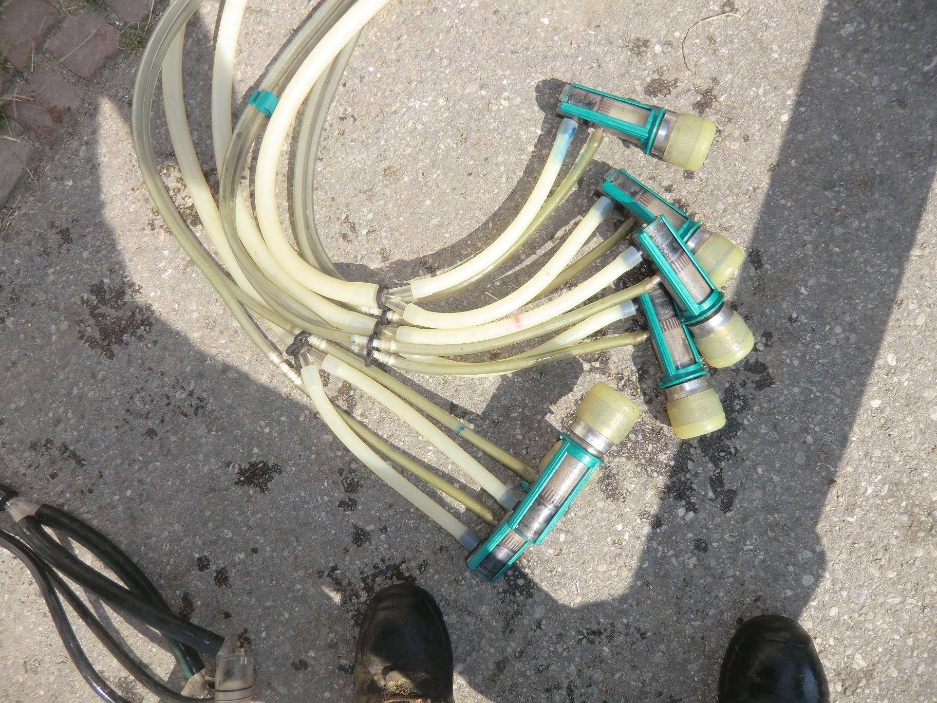 7 X  Ziegenmelkzeug komplett Goatmilkingcluster — zdjęcie 2