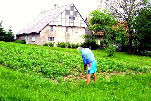 Dom i stodoła z widokiem na Karkonosze na agroturystykę — zdjęcie 1