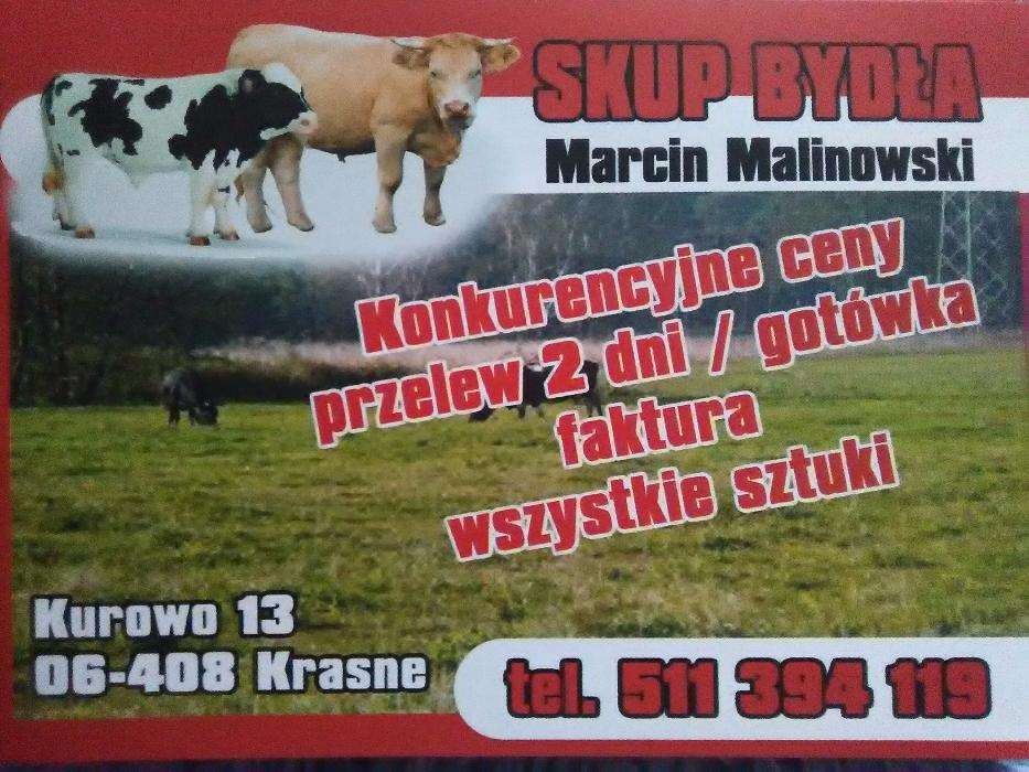 SKUP BYDŁA MARCIN MALINOWSKI