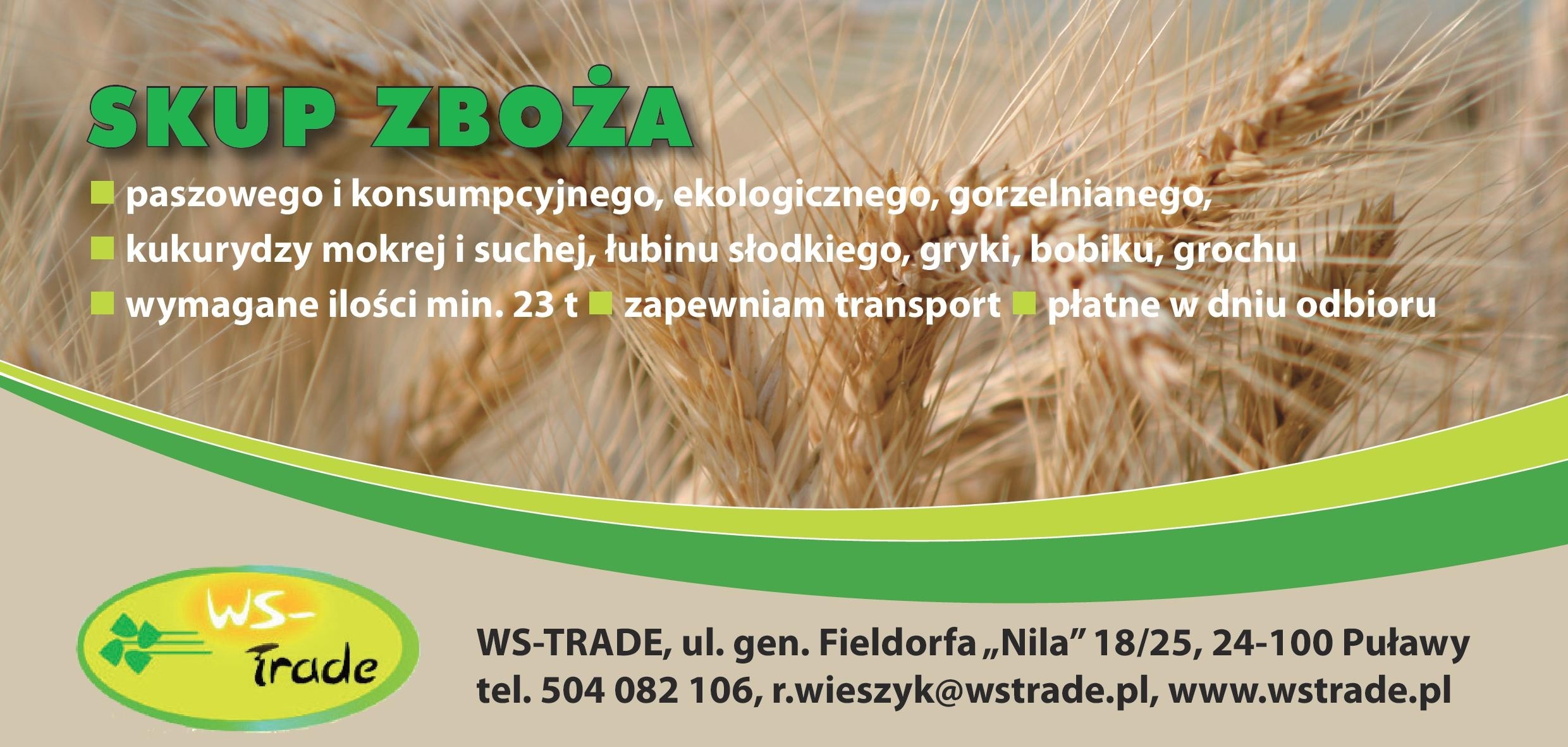kupię owies- skup owsa