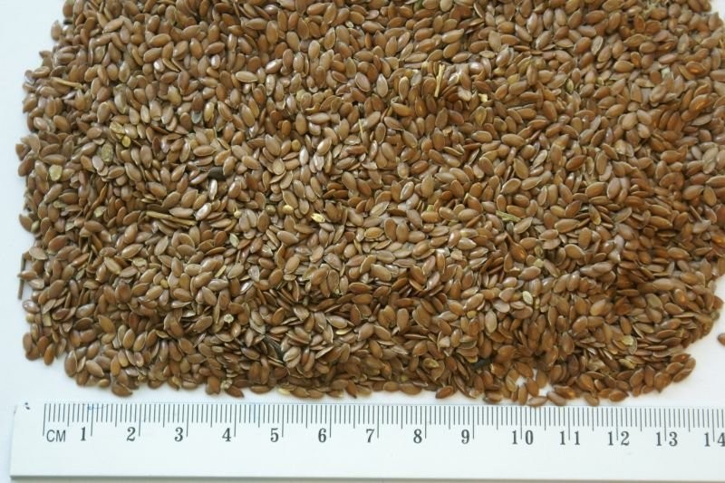 SIEMIE LNIANE ; CZYSTOŚĆ 97%; BIG BAG