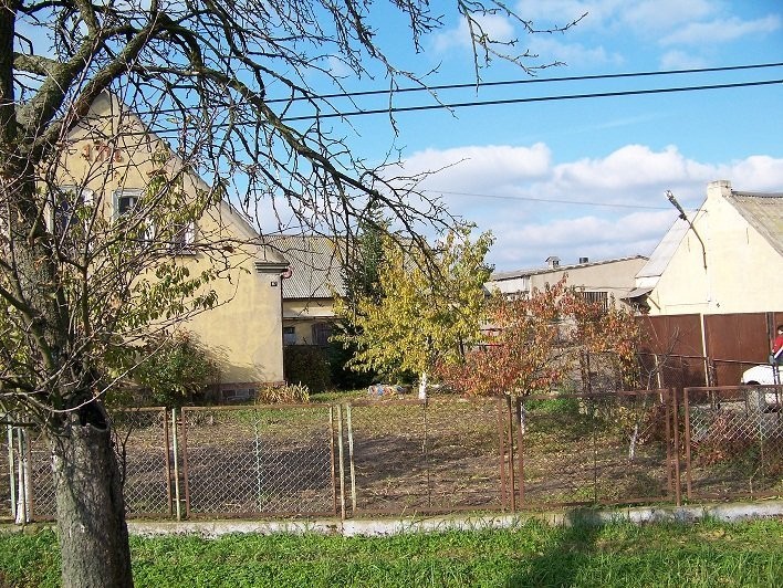 Sprzedam pieknie położone gospodarstwo — zdjęcie 2