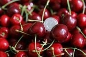 SPRZEDAM CZERESNIE !!! — zdjęcie 1
