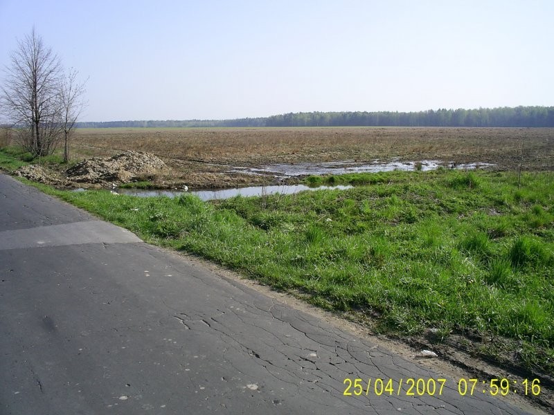 przyjmę osady 2000t