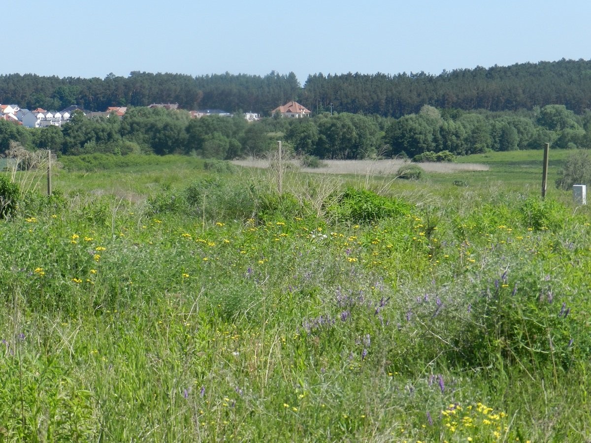 Działka/grunt na sprzedaż, Gorzów Wielkopolski — zdjęcie 2