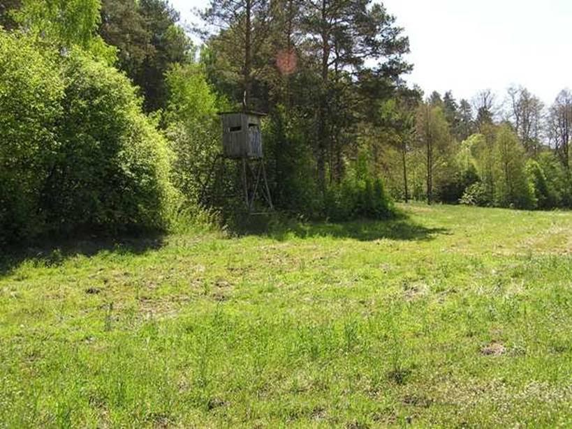 Oddam w dzierżawę  grunty rolne, Tarnówka, powiat Złotów, 29 ha — zdjęcie 3