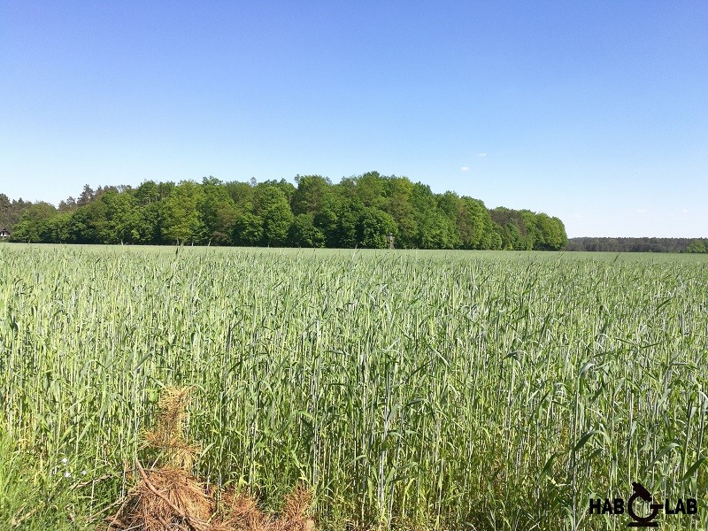 Agrochemia. Rolnicza i ogrodnicza analiza gleby Badanie i analiza wody — zdjęcie 3