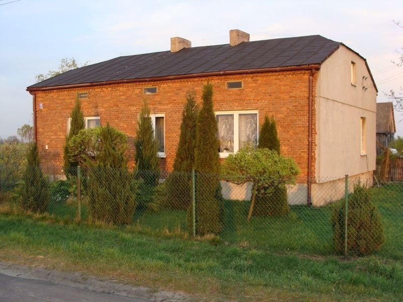 Gospodarstwo rolne - Krokocice — zdjęcie 4