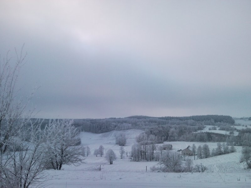 GOSPODARSTWO KOŁO SUWAŁK — zdjęcie 1