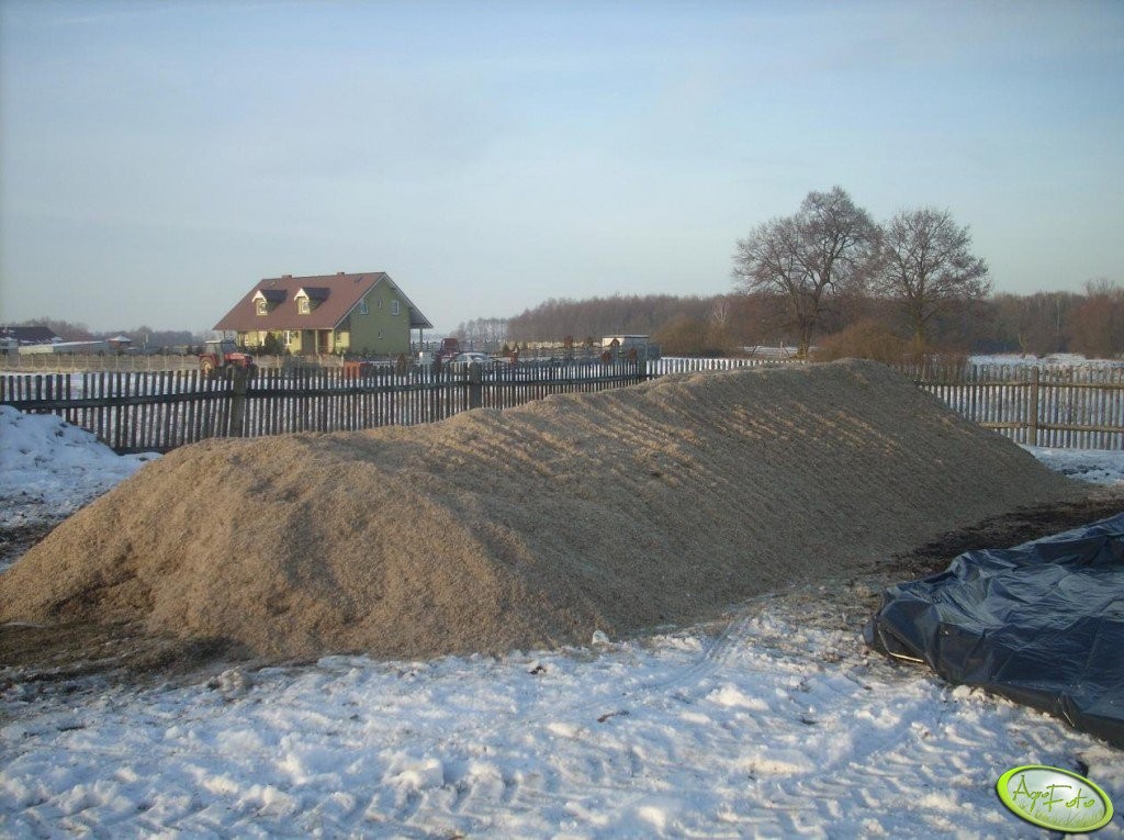 Wysłodki buraczane mokre,cukrownia Krasnystaw  2016/2017