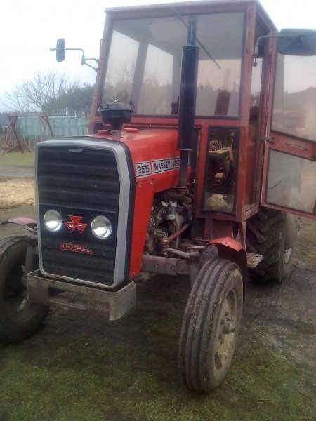 massey ferguson 255   cena 25tys. do małej negocji — zdjęcie 2