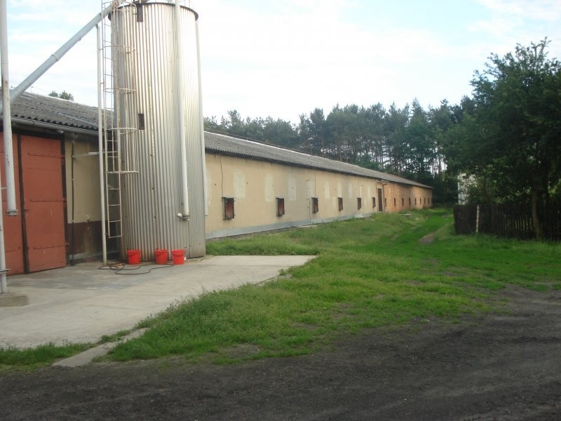 Sprzedam fermę drobiu, Studzianki, woj. łódzkie — zdjęcie 2